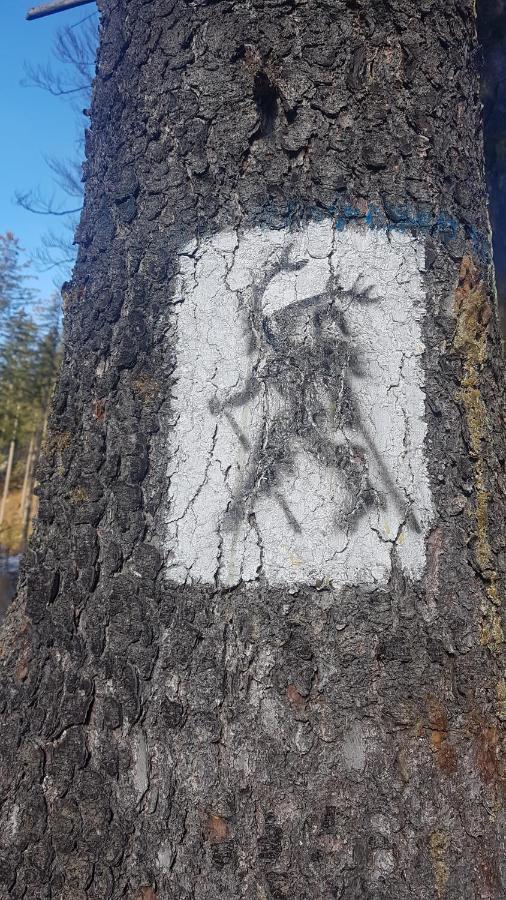 Skaly Spaly Przesieka Bagian luar foto